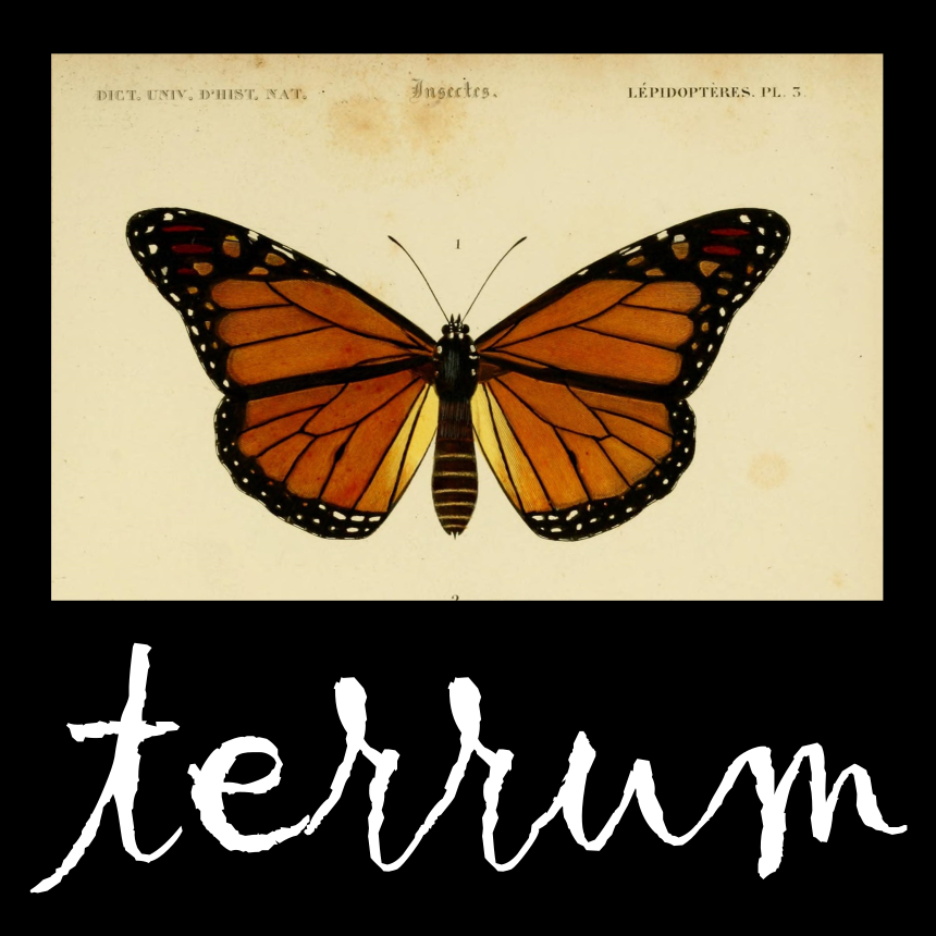 Logo Terrum